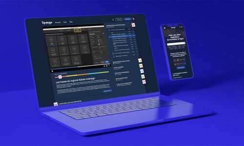 VignetteWebDesignTipengo